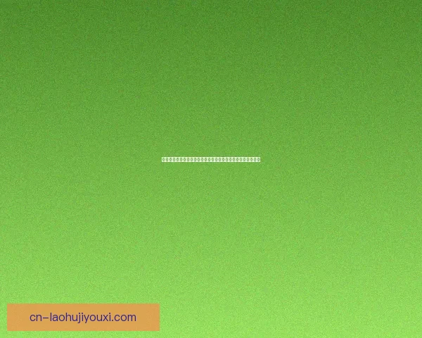 凯拉格尔社会福利会对舒克拉塔青年成长发展的支持与实践研究